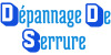 DDS long logo